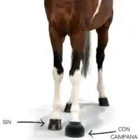 Campanas plásticas para caballo set por par SOPECR