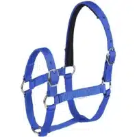 Gamarron para caballo azul SOPECR