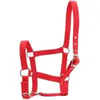 Gamarron para caballo rojo SOPECR