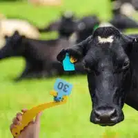 Removedor de orejera plástico SOPECR