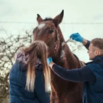 Insumos veterinarios