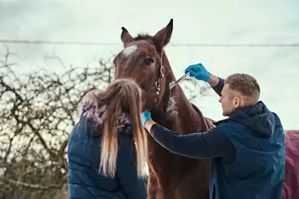 Insumos veterinarios